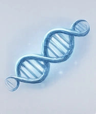DNA