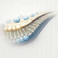 Membrane