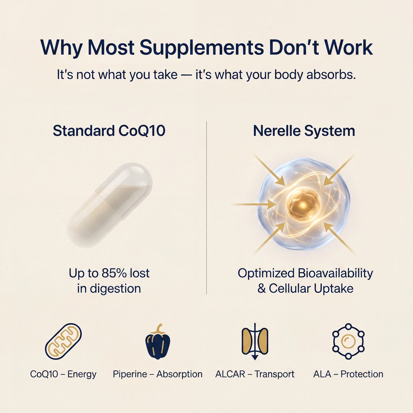 The 90-Day Protocol That Moves the Numbers — Without IVF.