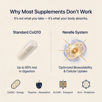 The 90-Day Protocol That Moves the Numbers — Without IVF.